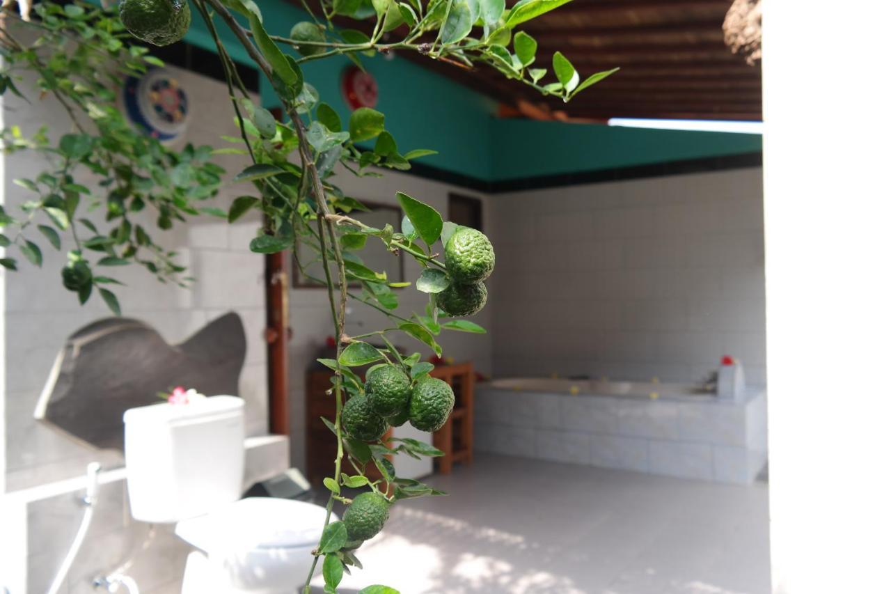 1000 Dream Bungalow Lovina  Exterior photo